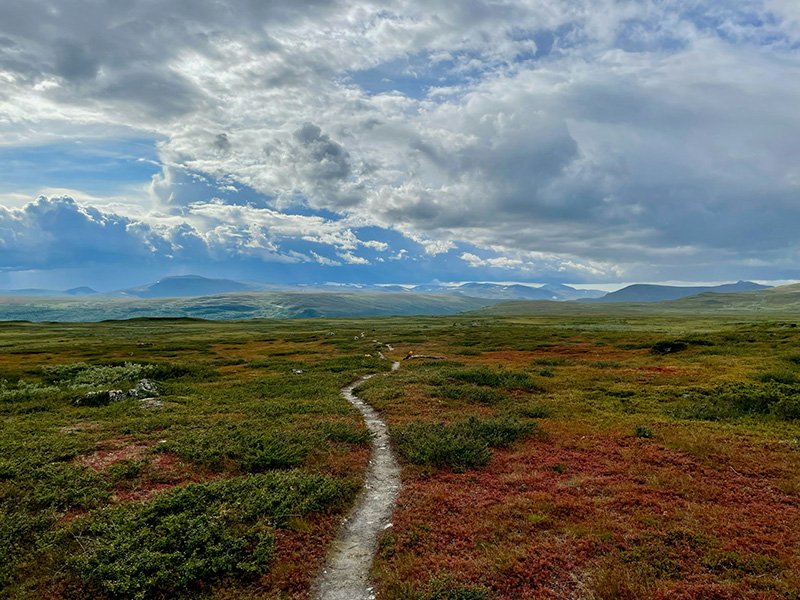 Open field in Sweden with mountains in the background.